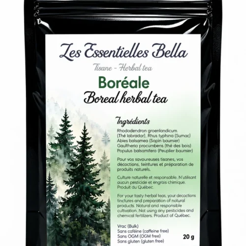 Tisane Boréale